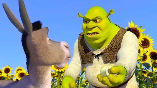 Shrek and Donkey walking through a sunflower field, Shrek explaining