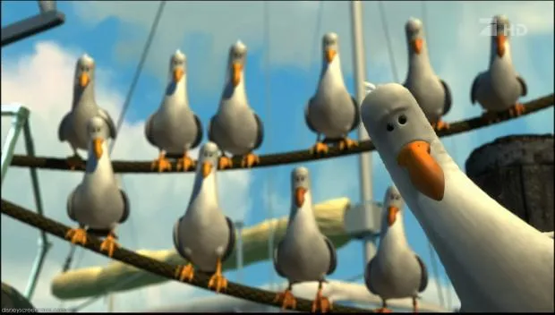 A row of seagulls on a dock, all with beaks open