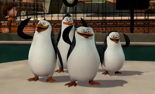 Four penguins standing in a row on ice, waving