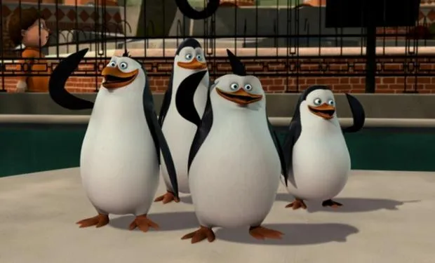 Four penguins standing in a row on ice, waving