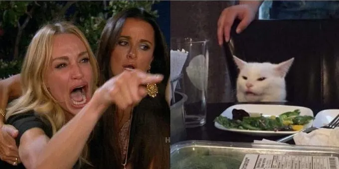 Left: a woman shouting and pointing while a friend holds her back. Right: a white cat at a dinner table behind a plate of vegetables