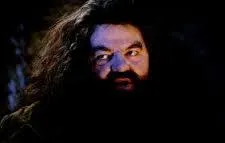 Hagrid, a huge man with wild hair and a beard, speaking in a dim hut